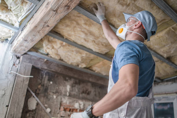 Types of Insulation We Offer in Locust Grove, OK