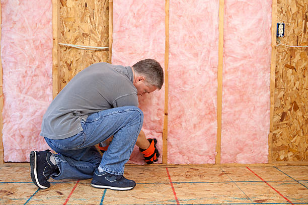 Best Cellulose Insulation in Locust Grove, OK