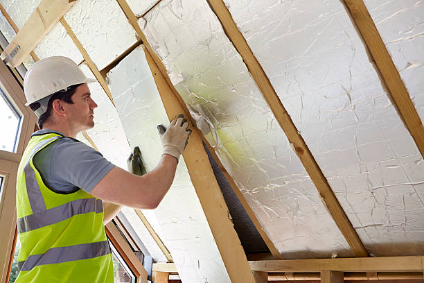 Best Geographic-Specific Insulation Services in Locust Grove, OK